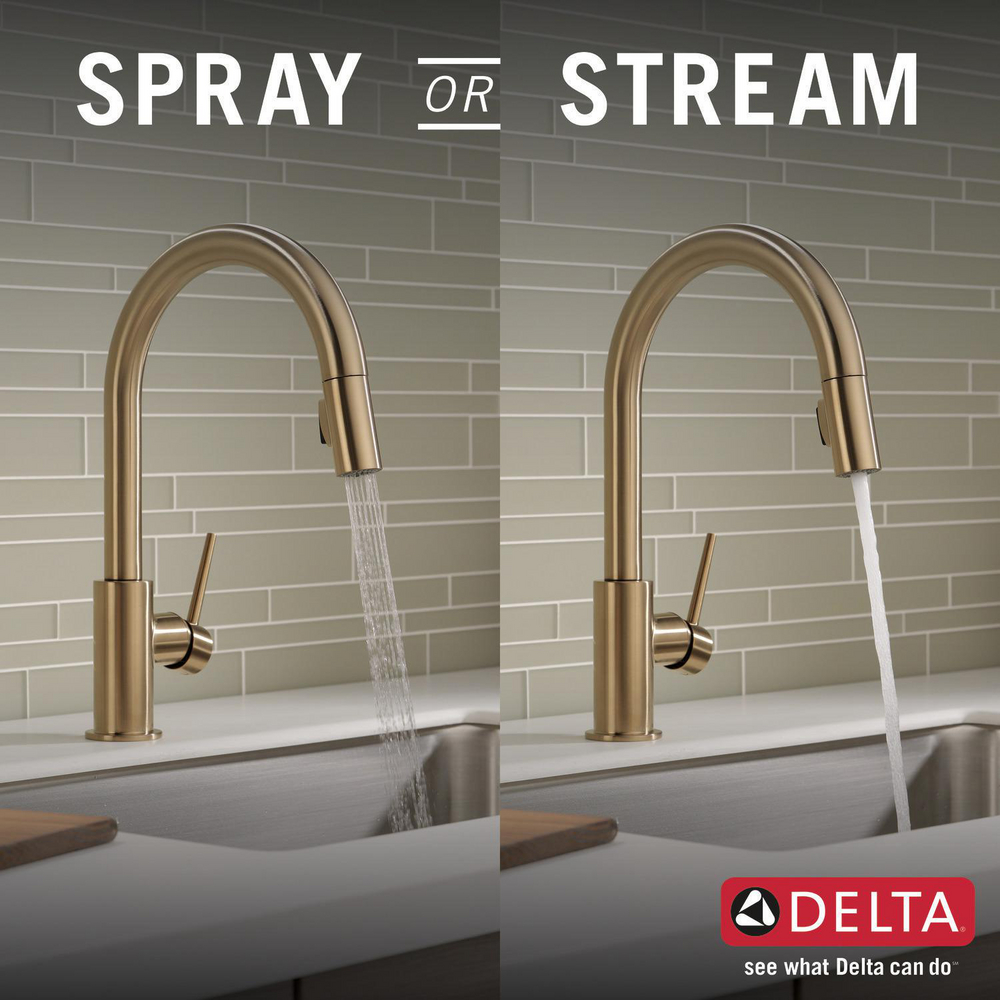 Two Spray Modes for Every Kitchen Task 